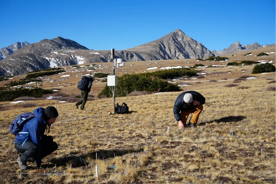 Niwot Ridge LTER, Emery Lab, and Miles' work featured on NPR