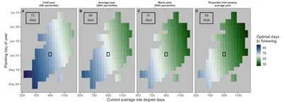 New co-authored manuscript in New Phytologist